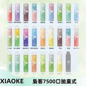 梟客XIAOKE|7500口可發光拋棄式電子煙 跑馬燈一次性