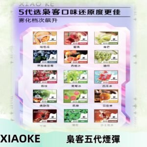 梟客五代煙彈|XIAOKE可替換式電子煙|通用Relx6代|ILIA五代主機